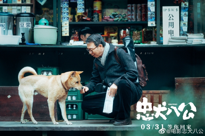 图片[4] - 《忠犬八公》3月31日上映，有中华田园犬八筒软萌登场 - EVLIT